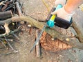 Above view of sawing tree branches with chain saw