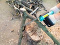 Above view of sawing tree limbs with electric saw