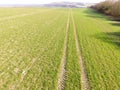 Aerial view of tractor tracks in a crop field. Royalty Free Stock Photo