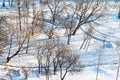 Above view of snowy urban park in winter Royalty Free Stock Photo