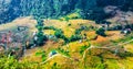 Above view of Tavan village and rice field terraced in valley at Sapa. Royalty Free Stock Photo