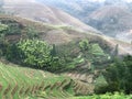 above view of terraced fieilds from view point Royalty Free Stock Photo