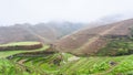 above view of terraced rice fields on hills Royalty Free Stock Photo