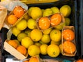 Above view of yellow and orange lemons on a stall Royalty Free Stock Photo