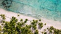 Above white beach. Palm trees and water Royalty Free Stock Photo