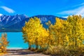 Abraham lake with a turquoise water Royalty Free Stock Photo