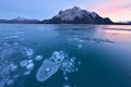 Abraham Lake winter ice bubble Royalty Free Stock Photo