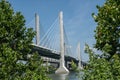 Abraham Lincoln bridge over the Ohio River viewed through trees during the day in Louisville, Kentucky, USA Royalty Free Stock Photo