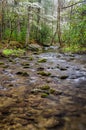 Abrams Creek, Cades Cove, Great Smoky Mountains