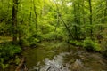 Abrams Creek near Cades Cove in the Great Smoky Mountains National Park Royalty Free Stock Photo