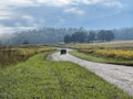 Abrams Falls Road at Cades Cove