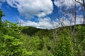 Abrams Falls Trail in the Smokies