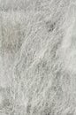 Abrasive Wire Wool Royalty Free Stock Photo