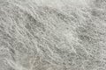 Abrasive Wire Wool Royalty Free Stock Photo