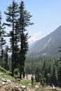 Abridge on Water at Kumrat Valley KP, Pakistan Royalty Free Stock Photo