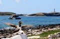 Abrolhos marine park