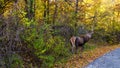 FALL COLORS IN ABRUZZO