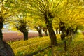 FALL COLORS IN ABRUZZO