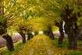 FALL COLORS IN ABRUZZO