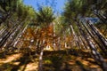 FALL COLORS IN ABRUZZO