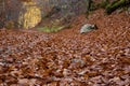 FALL COLORS IN ABRUZZO