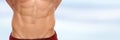 Abs abdominal muscles stomach copyspace bodybuilder bodybuilding Royalty Free Stock Photo