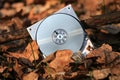 Computer hard disk in autumn leafage in forest Royalty Free Stock Photo