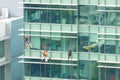 Abseiling window cleaners work on office building Royalty Free Stock Photo