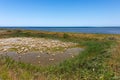 Absheron National Park created to preserve gazelles, Caspian seals and waterfowl living in this territory