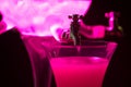 Absinth glass and fountain in pink Royalty Free Stock Photo