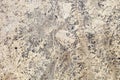 Absolute Cream Granite Royalty Free Stock Photo