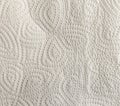 Absorbent Kitchen paper Texture