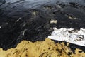 Absorbent paper used for lining oil from crude oil spilled