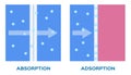 Absorption and adsorption vector icon