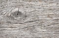 Absrtact background with old wooden wall Royalty Free Stock Photo