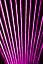 Abstact blurred neon lines on black background. Royalty Free Stock Photo