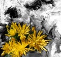 Abstact floral background with bouquet of yellow chrysanthemums on grunge striped, stain, scratched black and white backdrop