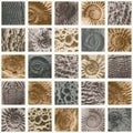 abstact seamless pattern background with sea stone texture