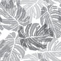 Abstact seamless pattern. Floral jungle palm leaves textu Royalty Free Stock Photo