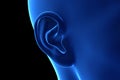 an abstrac blue female ear