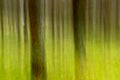 Abstrac blurry tree trunks with birght green background through intentional cammera movement