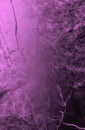 Intense purple marbled gradient blurred background. Black and pink shades.