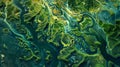 Abstract aerial view of a river delta Royalty Free Stock Photo