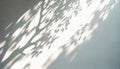 Abstract Aesthetic Shadow on White Textured Wall. Elegant Shadow Through Leaves and Branches