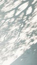 Abstract Aesthetic Shadow on White Textured Wall. Elegant Shadow Through Leaves and Branches