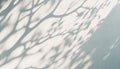 Abstract Aesthetic Shadow on White Textured Wall. Elegant Shadow Through Leaves and Branches