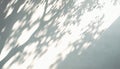 Abstract Aesthetic Shadow on White Textured Wall. Elegant Shadow Through Leaves and Branches