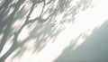 Abstract Aesthetic Shadow on White Textured Wall. Elegant Shadow Through Leaves and Branches