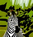 An Abstract African Safari Zebra