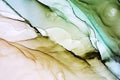 Abstract alcohol ink painting, macro photo Royalty Free Stock Photo